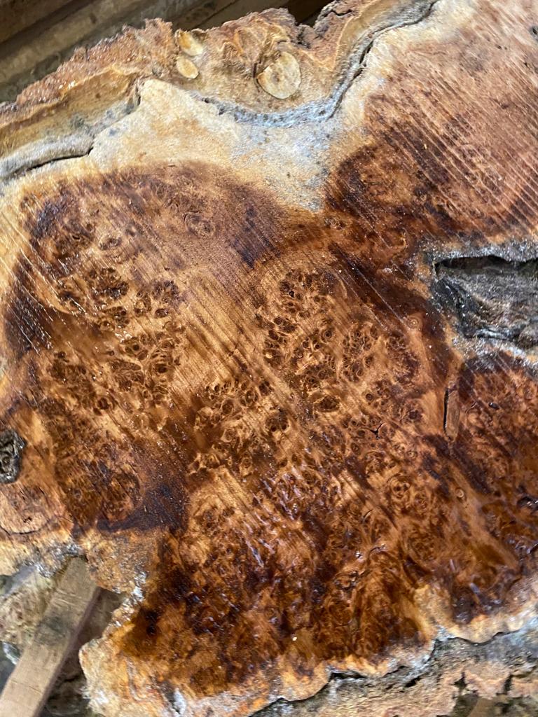 Cotton Wood Burl Slabs #No.5