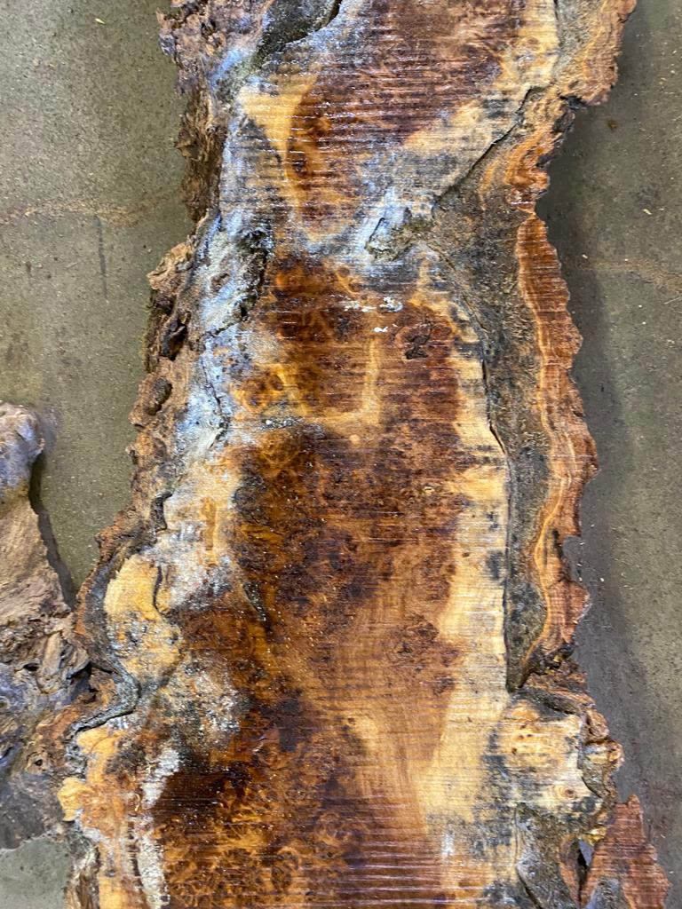 Cotton Wood Burl Slabs #No.4