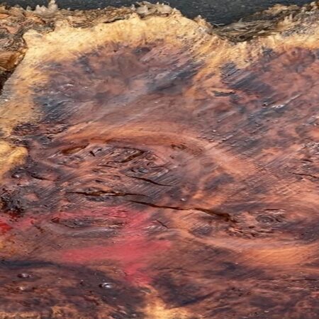 Cotton wood burl # No.1